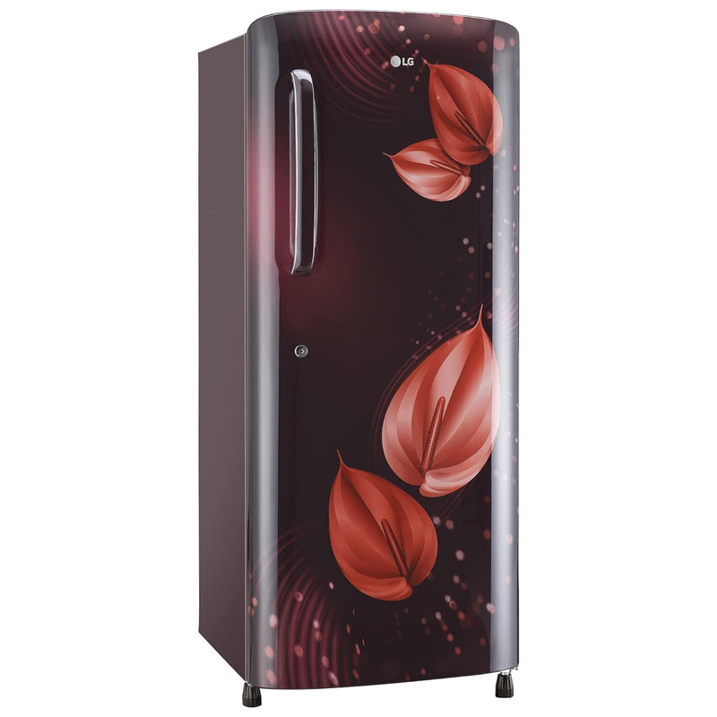 LG 224 L 4 Star Inverter Direct-Cool Single Door Refrigerator Appliance (GL-B241ASVY.DSVZEBN, Scarlet Victoria)
