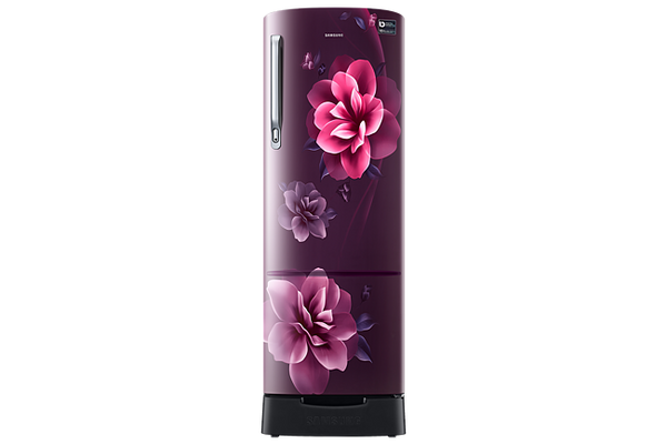 Samsung 246L 3 Star Inverter Direct-Cool Single Door Refrigerator (RR26C3893CR-HL,Camellia Purple)