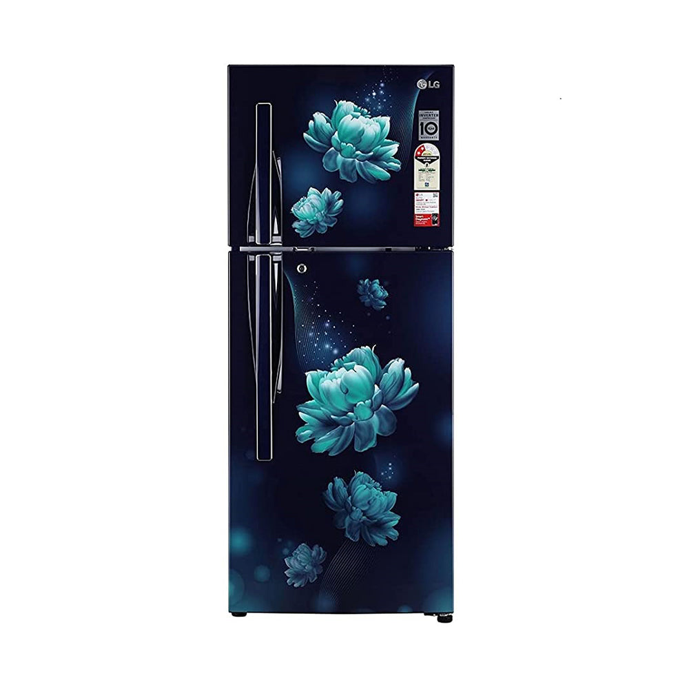 LG 260 L 2 Star Double Door Refrigerator (GLS292RBCY.DBCZEBN)