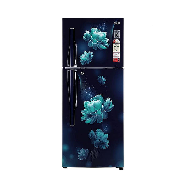 LG 260 L 2 Star Double Door Refrigerator (GL-S292RBCY.DBCZEBN)