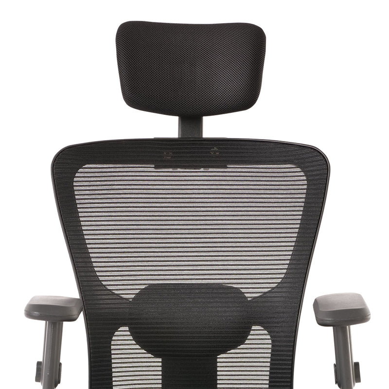 Moderno Eco Mesh Office chair (OM-ECOMESH HB CHAIR)