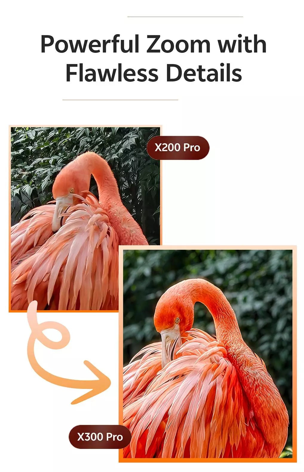 Showroom elevation view 1