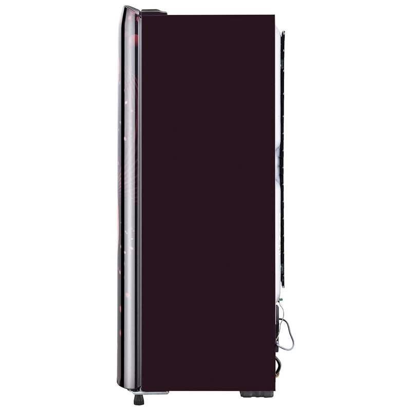 LG 224 L 4 Star Inverter Direct-Cool Single Door Refrigerator Appliance (GL-B241ASVY.DSVZEBN, Scarlet Victoria)
