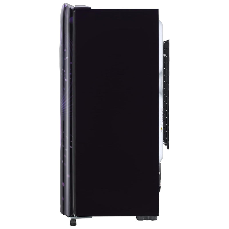 LG 205 L 4 Star Inverter Direct-Cool Single Door Refrigerator (GL-B221APVY.DPVZEBN, Purple Victoria)