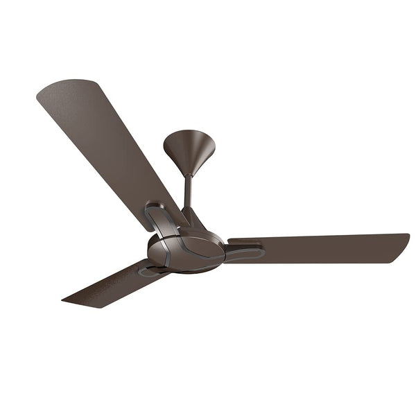 Crompton Air Buddy Compact Kitchen Fan (Black) – DAILY DEALS 365