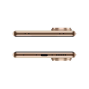 Vivo V60 5G | 12G+256GB | Auspicious Gold