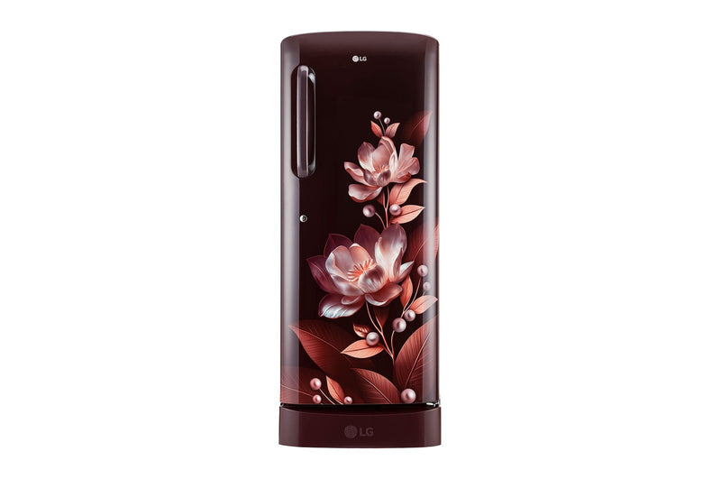 LG 224L, 5 Star Single Door Refrigerator with Base Stand Drawer (GL-D241ASMU.DSMZEBN)