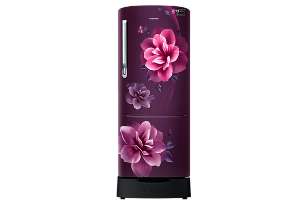 Samsung 223L 3 Star Inverter Direct-Cool Single Door Refrigerator (RR24C2823CR/NL,Camellia Purple)
