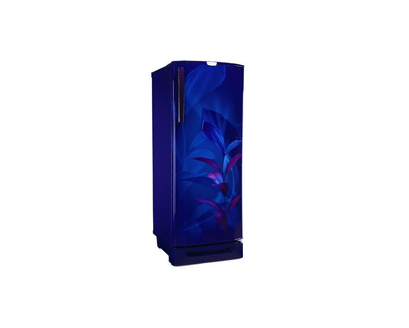 Godrej 210L, 3 Star Godrej Single Door Refrigerator (RD EDGEPRO 255C TAF MN BL)