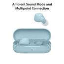 Sony WF-C510 Truly Wireless Bluetooth Earbuds (WF-C510-LZ IN)