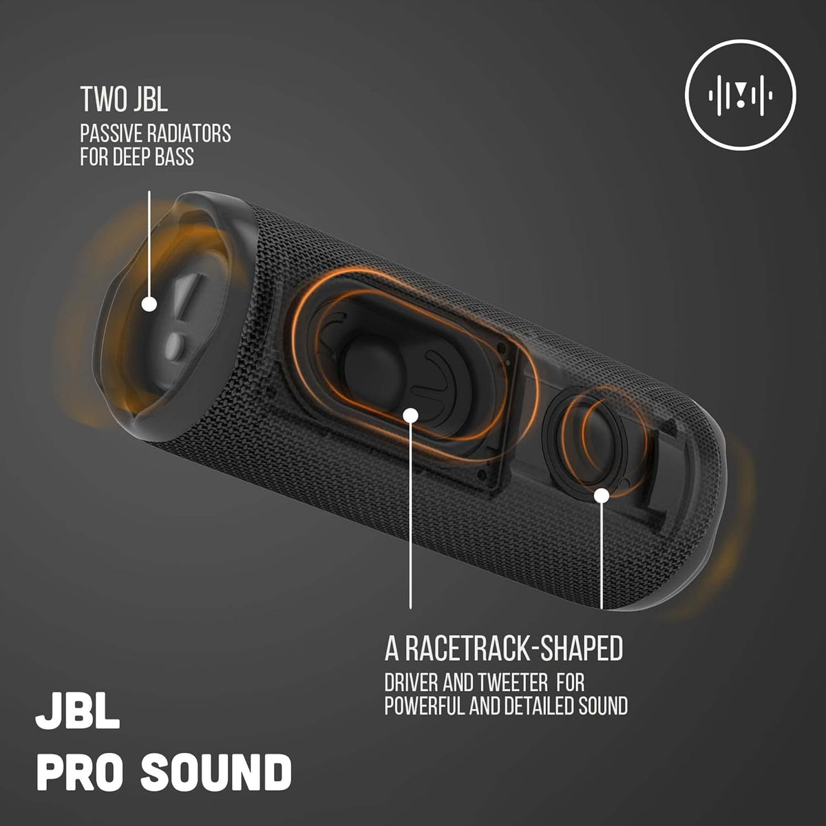 JBL Flip 6 Wireless Portable Bluetooth Speaker (JBSP0462 - JBL FLIP6 P