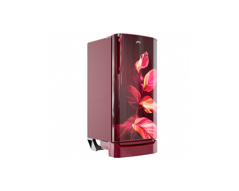 Godrej 180L, 2 Star Direct Cool Refrigerators (RD ERIOPLS 205B THF SE WN)
