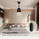 Crompton Energion NITEO 5S 1200mm 3 Blade BLDC Motor Ceiling Fan with Remote - Light Pinewood