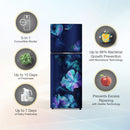 Whirlpool Neofresh 235L, 2 Star Frost Free Double-Door Refrigerator (22321)