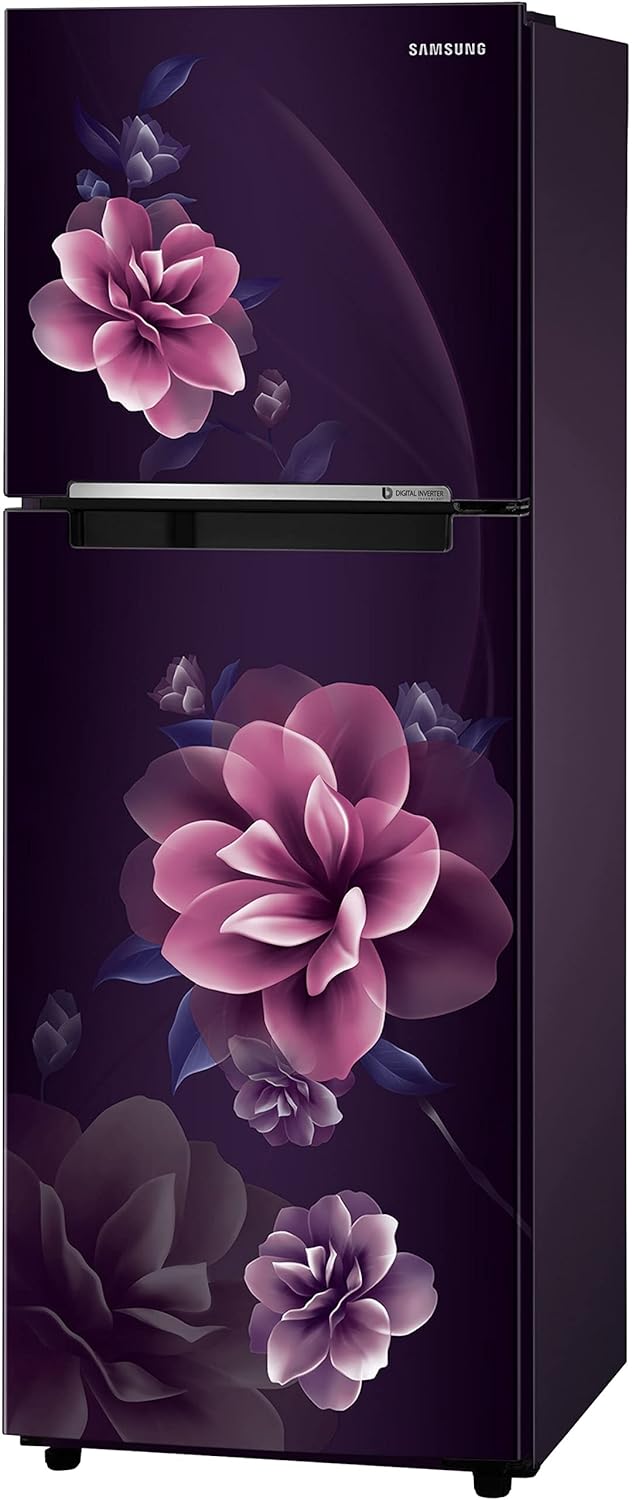 Samsung 236 L Digital Inverter Technology Double Door Refrigerator (RT28C3022CR/HL)