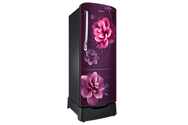 Samsung 223L 3 Star Inverter Direct-Cool Single Door Refrigerator (RR24C2823CR/NL,Camellia Purple)