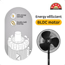 Atomberg Renesa 400mm Pedestal Fan - Black (FG0213)