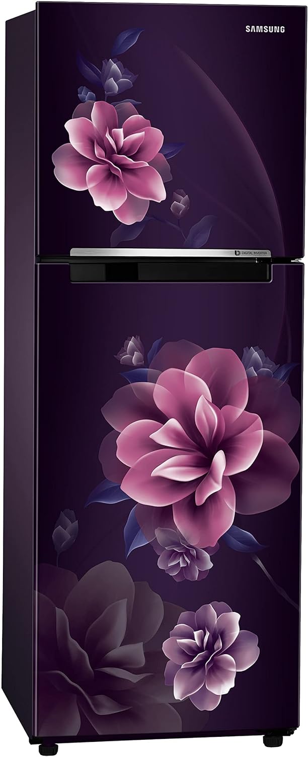 Samsung 236 L Digital Inverter Technology Double Door Refrigerator (RT28C3022CR/HL)