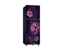 Samsung 236 L, 1 Star Double Door Refrigerator with All Around Cooling (RT40H28W1CPNL)