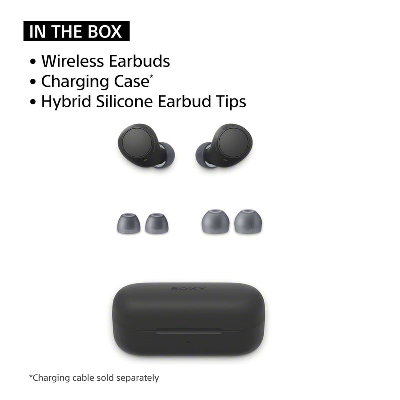 Sony WF-C510 Truly Wireless Bluetooth Earbuds (WF-C510-BZ IN)