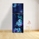 Whirlpool Neofresh 235L, 2 Star Frost Free Double-Door Refrigerator (22321)