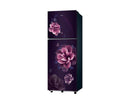Samsung 236 L, 1 Star Double Door Refrigerator with All Around Cooling (RT40H28W1CPNL)