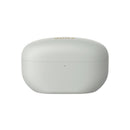 Sony Wireless The Best Noise Cancelling Earbuds (WF1000XM5/SZIN)
