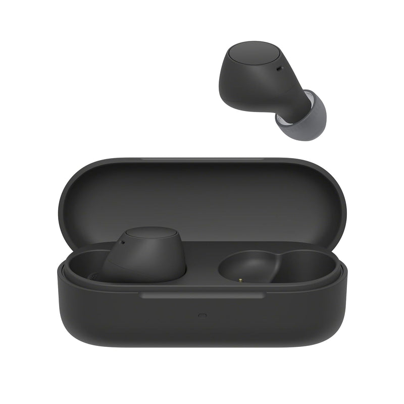 Sony WF-C510 Truly Wireless Bluetooth Earbuds (WF-C510-BZ IN)