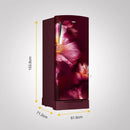 Whirlpool Icemagic Pro Plus 236L, 3 Star Single Door Refrigerator with base drawer (73757)