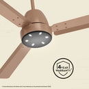 Crompton Energion NITEO 5S 1200mm 3 Blade BLDC Motor Ceiling Fan with Remote - Gilded Beige