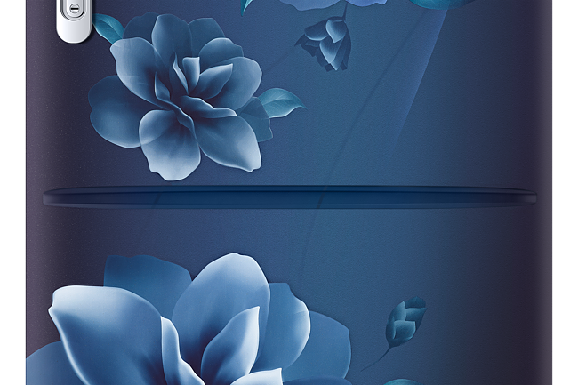 Samsung 246L 3 Star Inverter Direct-Cool Single Door Refrigerator (RR26C3893CU-HL,Camellia Blue)