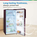 Bosch 185 L, 2 Star Single Door Direct Cool Refrigerator (COT18W32EI)
