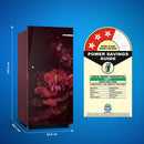 Bosch 187 L,3 star, Direct-Cool Single Door Refrigerator (CST18W23EI)