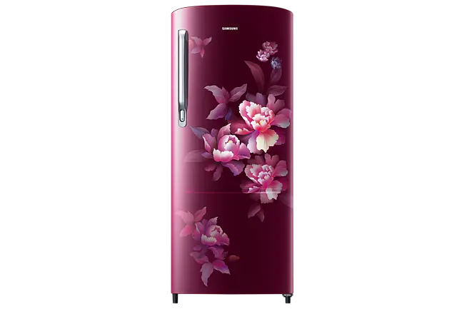 Samsung 183 L, 4 Star, Digital Inverter, Direct-Cool Single Door Refrigerator (RR20C1724HN-HL)