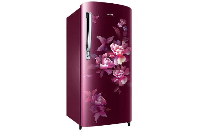 Samsung 183 L, 4 Star, Digital Inverter, Direct-Cool Single Door Refrigerator (RR20C1724HN-HL)