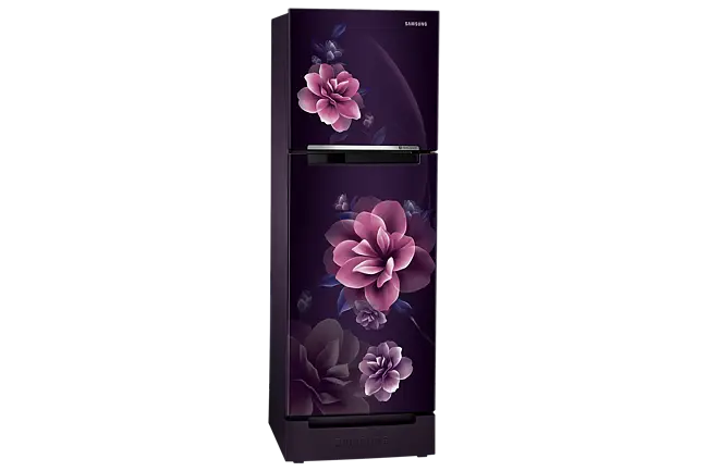 Samsung 236L 2 Star Inverter Frost-Free Double Door Refrigerator (RT28C3122CR-HL)