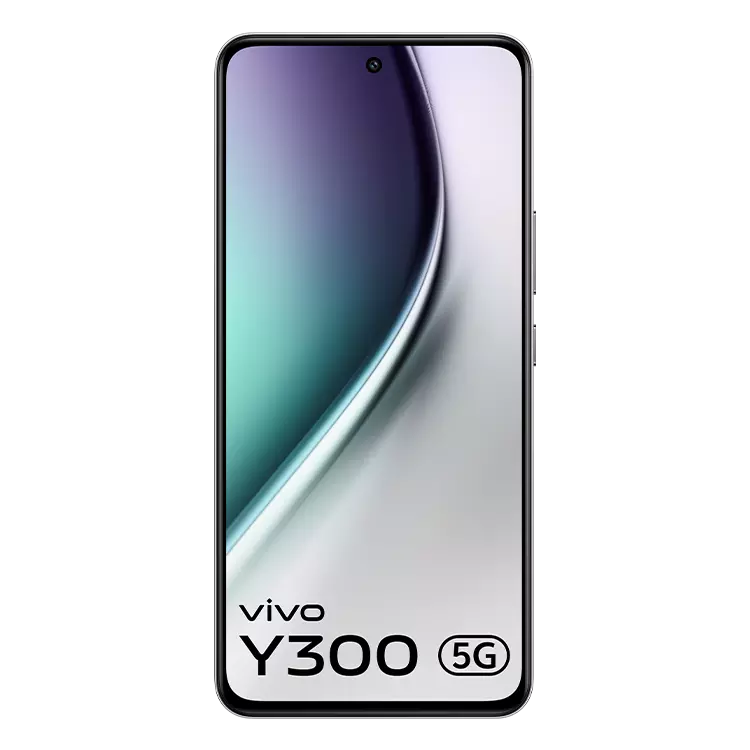 Vivo Y300 5G 8GB+256GB (Titanium Silver)