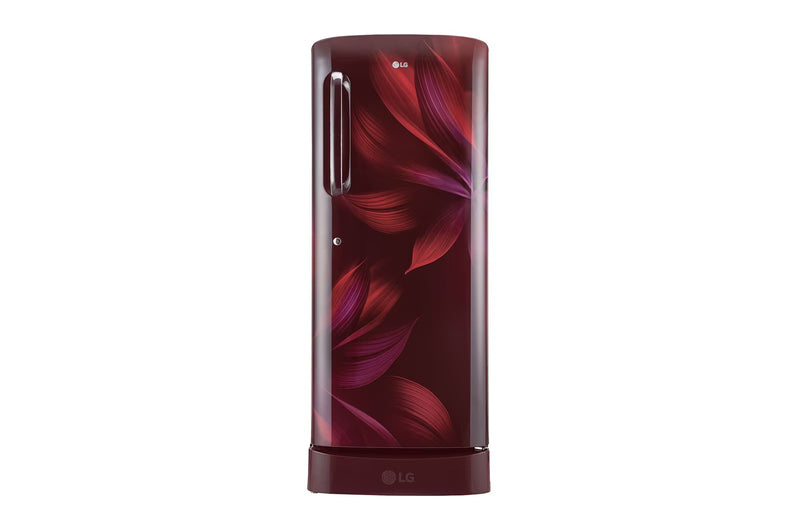 LG 224L, 5 Star Single Door Refrigerator with Base Stand Drawer (GL-D241ASAU.DSAZEBN)