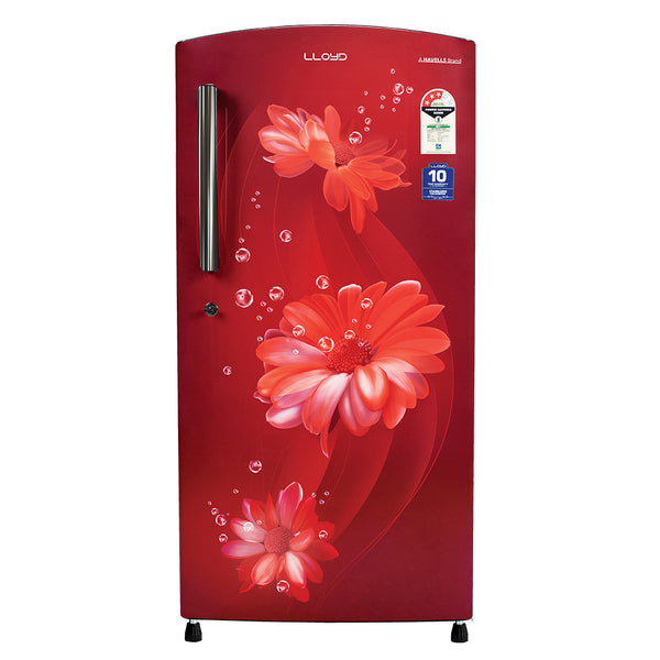 Lloyd 216 L 4 Star Direct Cool Refrigerator Daisy Wine (GLDF244SDWT2LC)