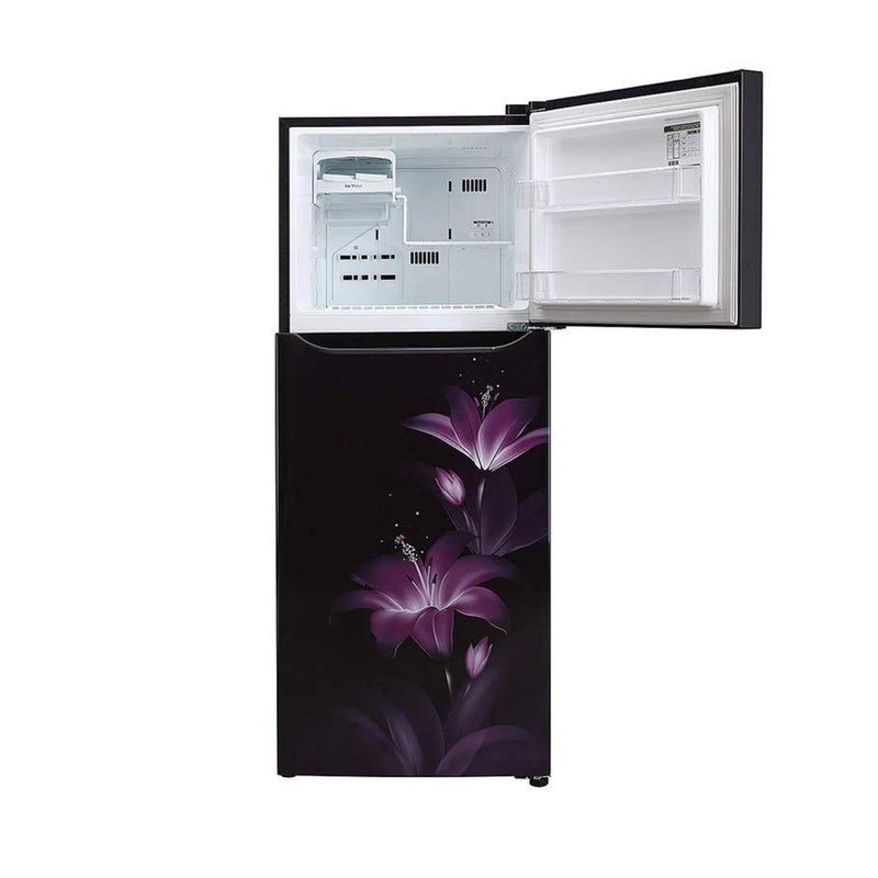 LG 260 Liters 2 Star Double Door Refrigerator (GL-N292BPGY.DPGZEBN)