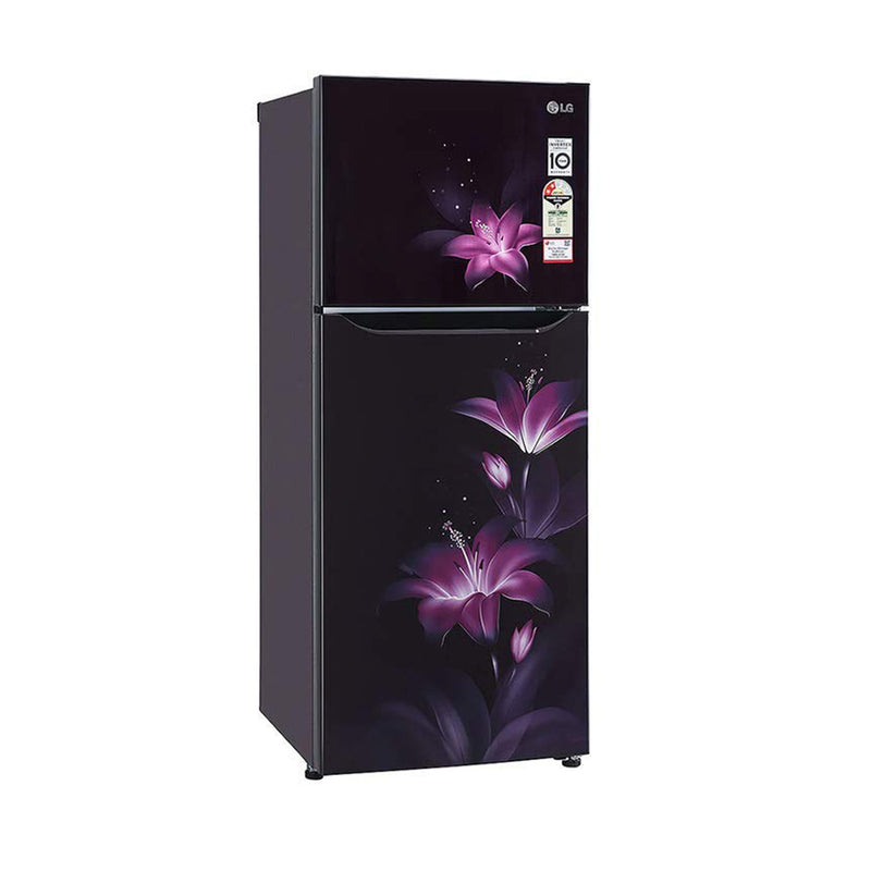 LG 260 Liters 2 Star Double Door Refrigerator (GL-N292BPGY.DPGZEBN)