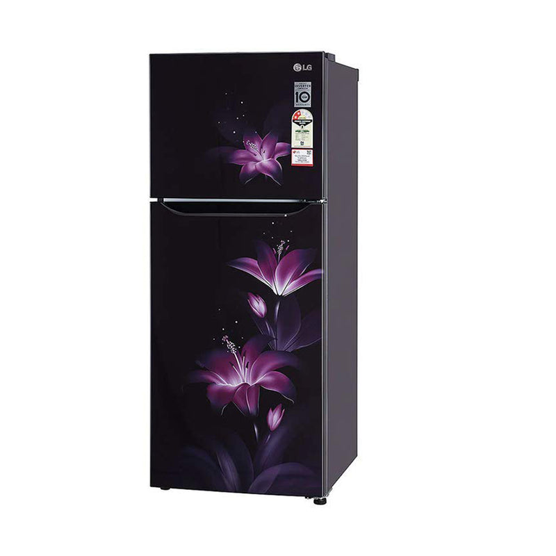 LG 260 Liters 2 Star Double Door Refrigerator (GL-N292BPGY.DPGZEBN)