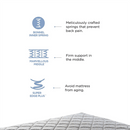 Peps Restonic Bonnell Sanibel Pillow Top 6-inch Spring Mattress with Free Pillow