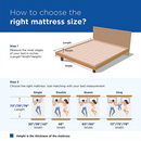 Peps Restonic Carousel Euro Top 6 inch Pocketed Spring Mattress With Free Pillow