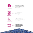 Peps Springkoil Bonnell Pillow Top 6-inch Spring Mattress with Two Free Pillow