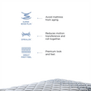 Peps Restonic Carousel 6 inch Pocketed Spring Mattress with Free Pillow