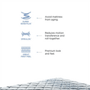 Peps Restonic Carousel Euro Top 6 inch Pocketed Spring Mattress With Free Pillow