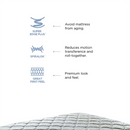 Peps Restonic Carousel 6 inch Pocketed Spring Mattress with Free Pillow