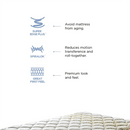 Peps Restonic Carousel Euro Top 6 inch Pocketed Spring Mattress With Free Pillow