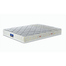 Peps Restonic Carousel 6 inch Pocketed Spring Mattress with Free Pillow